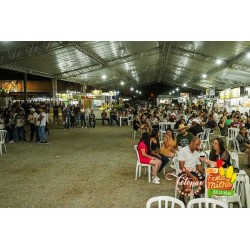 Festa do Milho de Balsa Nova reuniu música, gastronomia e diversão com grande presença de público